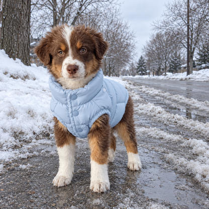Waterproof Puffer for Dogs